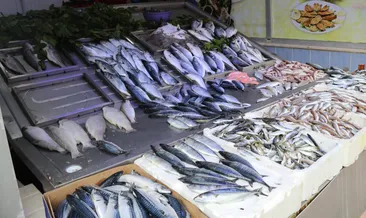 Yasak bitti, balık tezgahları şenlendi