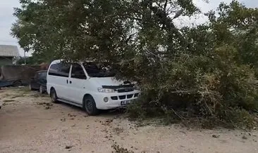 Bursa'da ağaçlar devrildi, çatılar uçtu! Dışarı çıkacaklar dikkat: Lodosun ardından… #bursa