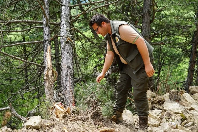 Kastamonu'da film gibi olay! Camiden anons yaptırıp köylüleri kandırdılar...