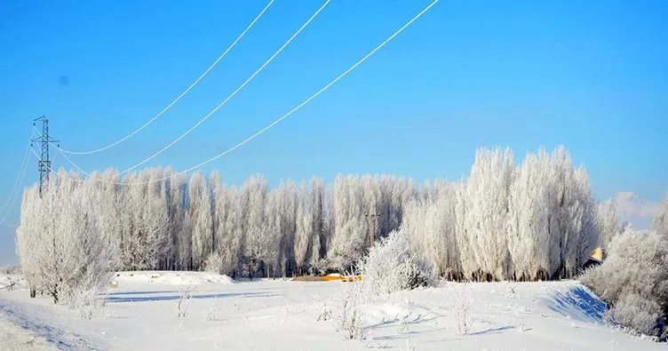 Doğu’da Sibirya soğukları