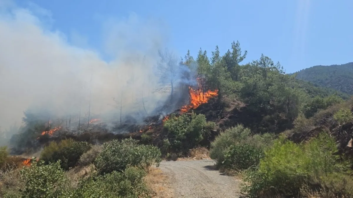 Hatay’da korkutan orman yangını