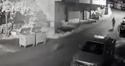 Ayı kovaladı, vatandaş kaçtı