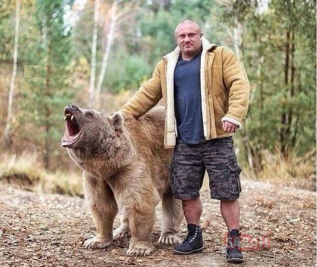 Pin by Gary Crain on Things I love Poke the bear, Big bear, Bear cubs