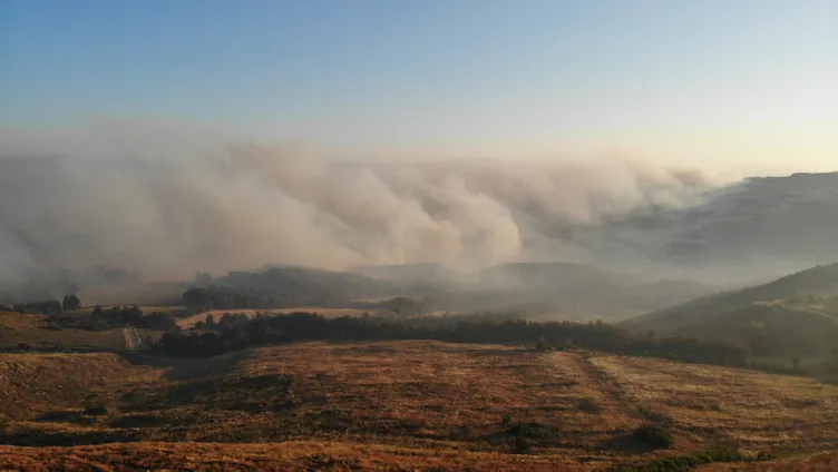 SON DAKİKA: Hatay, Mersin ve Çanakkale'de orman yangını! Alevlerle mücadele sürüyor: Bakanlar son bilançoyu açıkladı