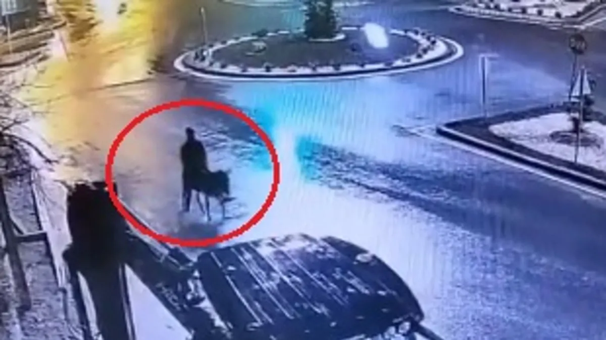 Forkliftle soygun yapıp eşekle kaçmıştı: İstenen ceza belli oldu! Forkliftle soygun yapıp eşekle kaçmıştı: İstenen ceza belli oldu!