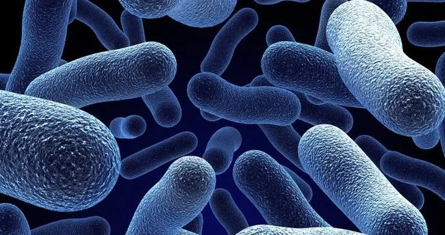 mantar enfeksiyonu belirtileri nelerdir