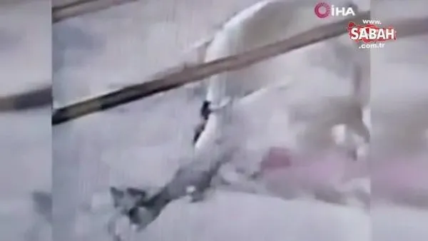 Son Dakika: Kahramanmaraş'ta ahıra giren yılanın kurbanlık dev boğayı öldürdüğü anlar kamerada | Video