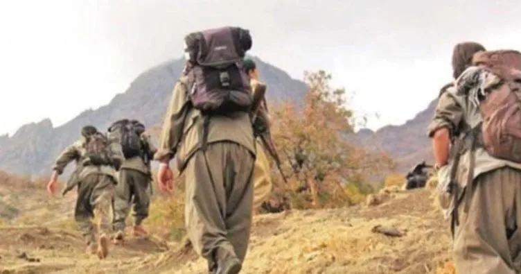 PKK’nın dağ kadrosundan biri tutuklandı