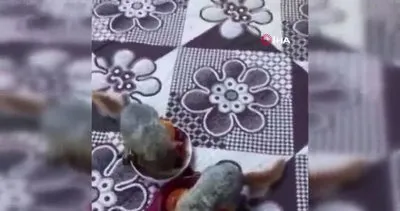 Sivas’ta öksüz kalan yavru sincapların elle beslenme anı kamerada
