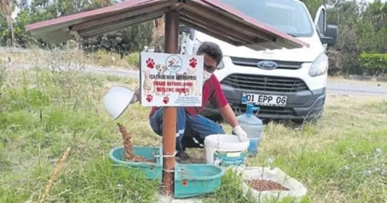 İskenderun Belediyesi sokak hayvanlarını unutmuyor