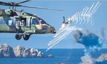 Mavi Vatanda gövde gösterisi