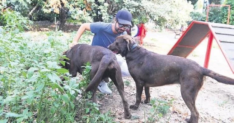 ’Evim uzaktı, Bebek’e taşındım’