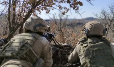 Şırnak’ta terör operasyonu: 22 gözaltı