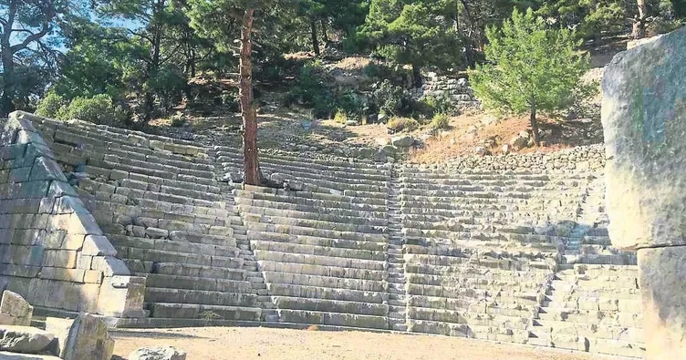 Ağaçlar tarihe sarıldı