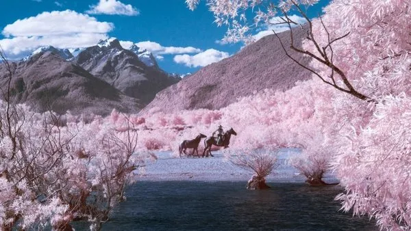 Fotoğrafçı Paul Hoi'den muhteşem kızılötesi fotoğraflar