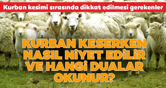 kurban keserken okunacak dualar ve
