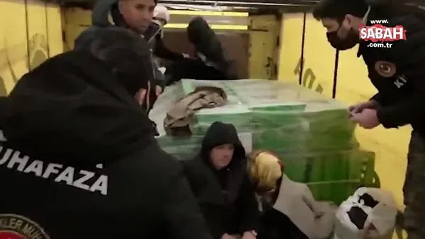 TIR dorsesinde yurt dışına kaçmaya çalışan 2'si kadın, 5 kişi yakalandı | Video
