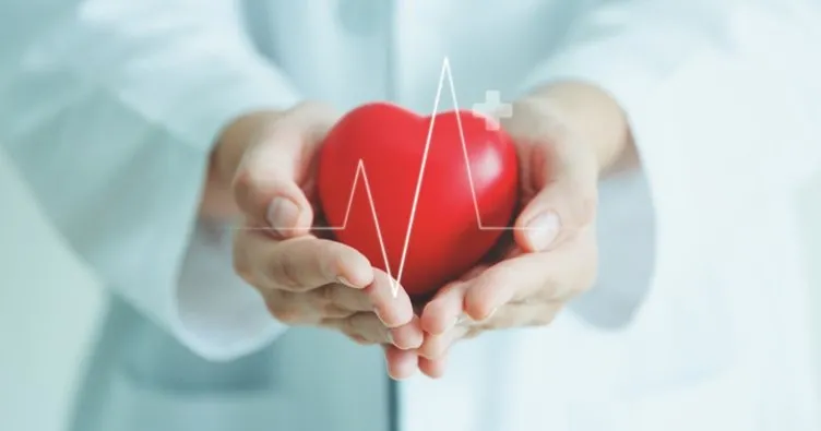Kalp İçin Hangi Bölüme Gidilir? Hangi Tahliller İstenir, Kalp Ağrısı, Sıkışması Ve Rahatsızlığına Hangi Doktor Bakar?