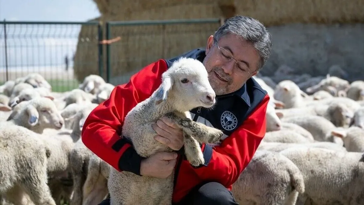 Aşı ve kimliklendirme ücreti alınmayacak! Bakan Yumaklı hayvancılığa 6 milyar TL'lik desteği duyurdu