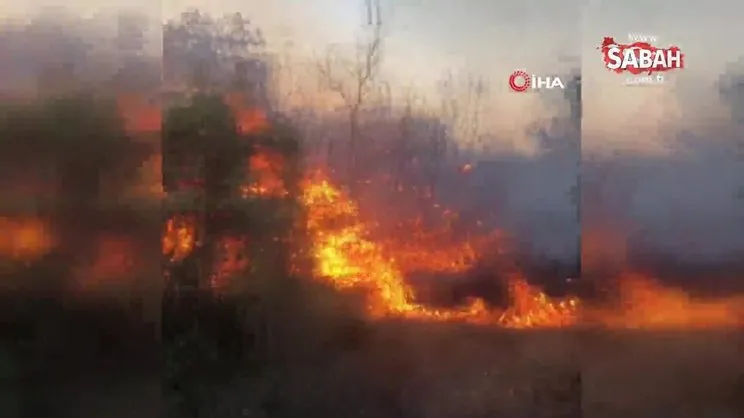 Otluk alanda çıkan yangın ağaçlık alana sıçradı: Alevler korkuttu | Video
