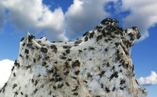 Dünyadan sıcak fotoğraflar