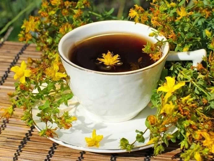 Sarı kantaron çayının faydaları nelerdir?
