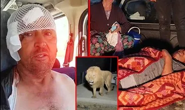 Antalya'da aslan paniği! Tarlada uyuyan Süleyman Kır o dehşet anlarını anlattı: Önce hayalet sandım... #antalya