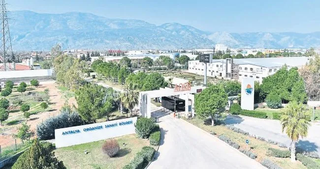 Bu kavga bitmez
