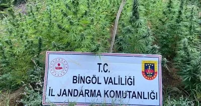 Bingöl’de Jandarma ve Polis Ekiplerinden Uyuşturucu Operasyonları