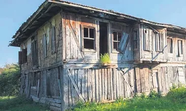 Koyun kırpıp ağaç budayın