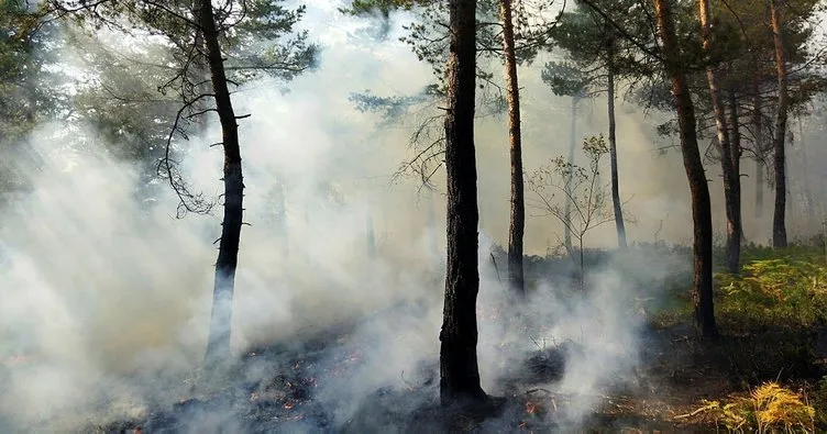 Tokat’taki orman yangını kontrol altına alındı! 3 hektarlık alan zarar gördü