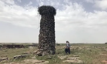 20 Yıl önce yapılan kule bakın ne işe yaradı?