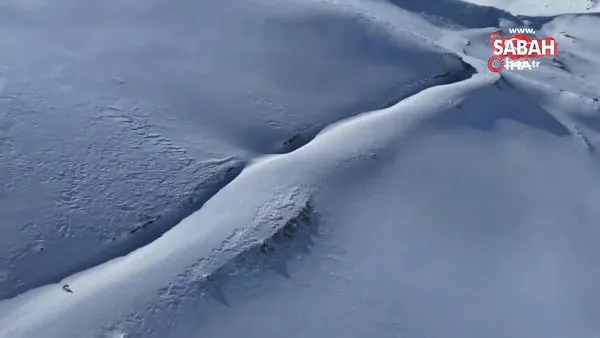 Uzungöl'ün zirvelerinde dronla tilkiyi saniye saniye böyle takip etti | Video