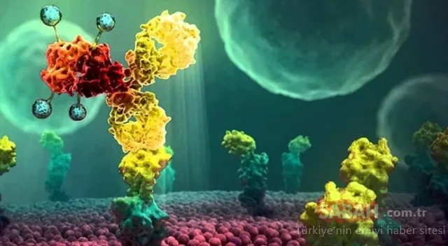 Terminatör moleküller kansere savaş açıyor! Kanserli hücreyi önce buluyor sonra vuruyor!