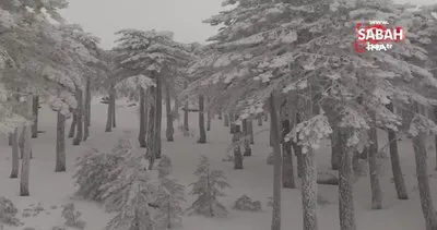 Kazdağı Milli Parkı’nda kar manzaraları böyle görüntülendi | Video
