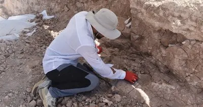 7,5 milyon yıllık fosil kazıları, dünya paleontoloji tarihine ışık tutuyor #kayseri