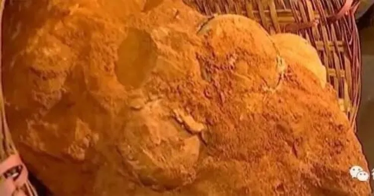 Çin’de 70 milyon yıllık dinozor yumurta fosili bulundu