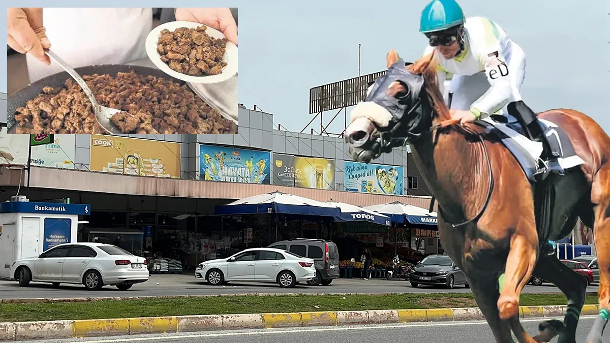 SON DAKİKA… CHP’li belediyenin aşevindeki kavurmadan yarış atı Smart Latch çıkmıştı! At eti skandalında çarpıcı gelişme…