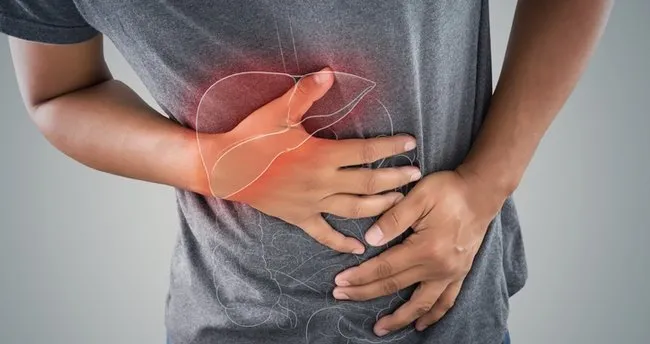 karaciger nerede bulunur gorevi nedir karaciger agrisi vucudun neresinde olur saglik haberleri