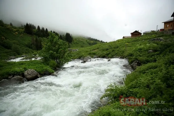 O bölgede dev turizm merkezi oluşturuluyor! 11 yeni 'Ayder' bulundu!