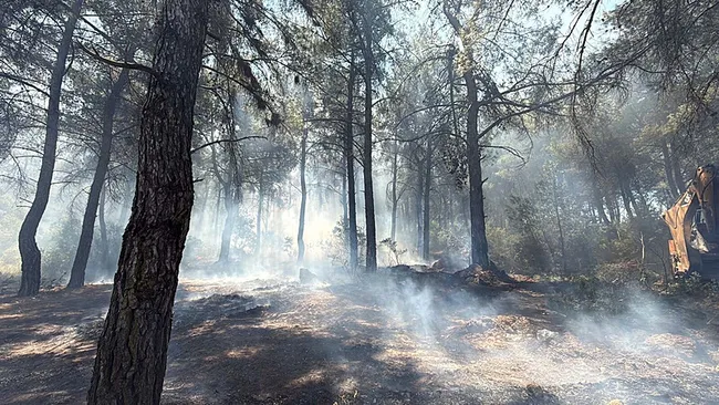 izmirdeki-orman-yanginlarinda-iki-gozalti-1783437914319.jpeg