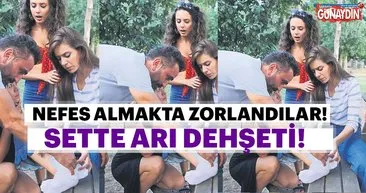 Kapan filminin setinde arı dehşeti