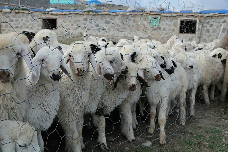 Tunceli'de 6 bin lira maaşla çalışacak eleman bulunamıyor - 1