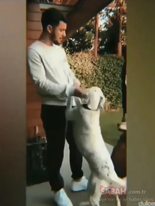 Hadise ile arasının çok iyi olduğu bilinen Kaan Yıldırım’ın köpeği Benek neredeyse onlar kadar ünlü oldu! Kaan Yıldırım ile köpeği Benek’in eğlenceli videosu sosyal medyayı salladı!