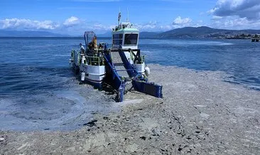 Marmara Denizi’nden temizlenecek deniz salyasının tarımdaki kullanım alanları araştırılıyor