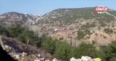 Tedavi edilen atmaca doğaya salındı