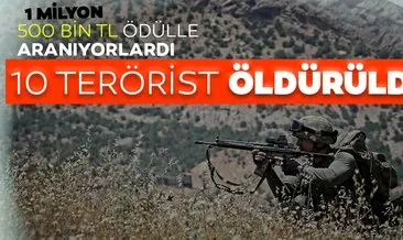 Tunceli’de bir ayda 2’si ödüllü listede 10 terörist etkisiz hale getirildi