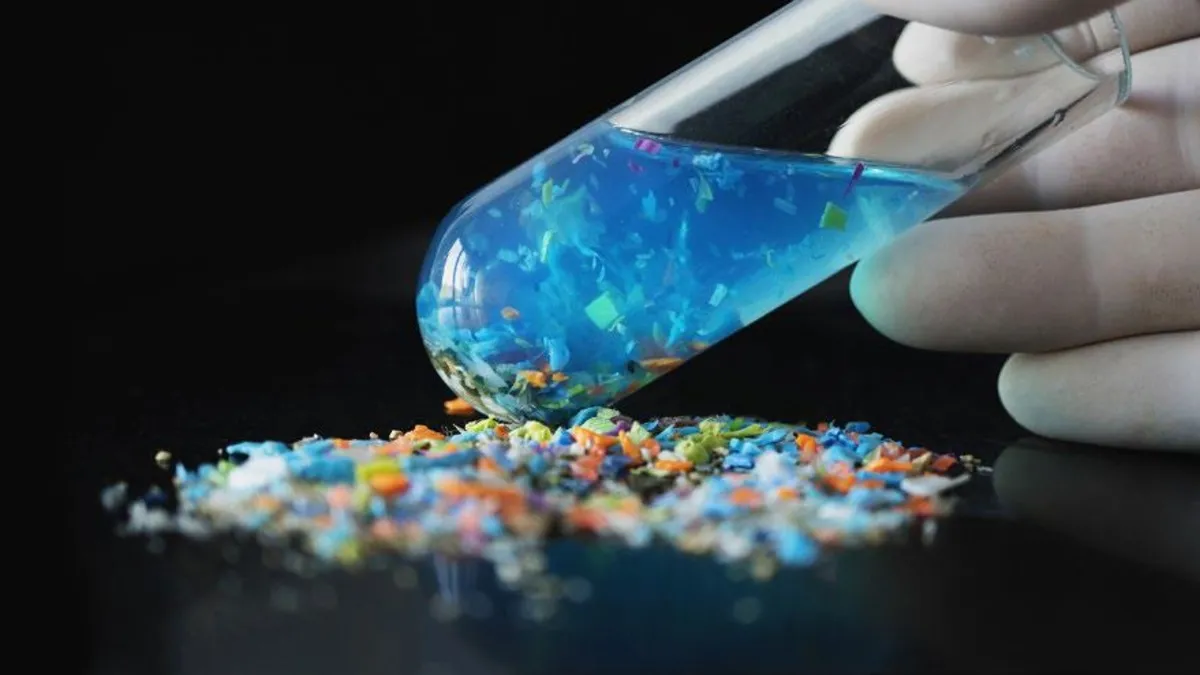 Mikroplastiklerin vücutta biriktiği yerleri saptayan test geliştirildi