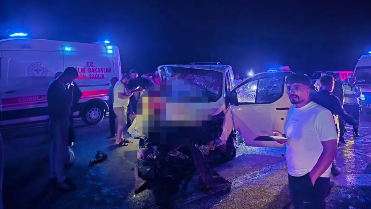 Bingöl'de feci kaza! Panelvan yola çıkan ata çarptı: 1 ölü, 2 yaralı