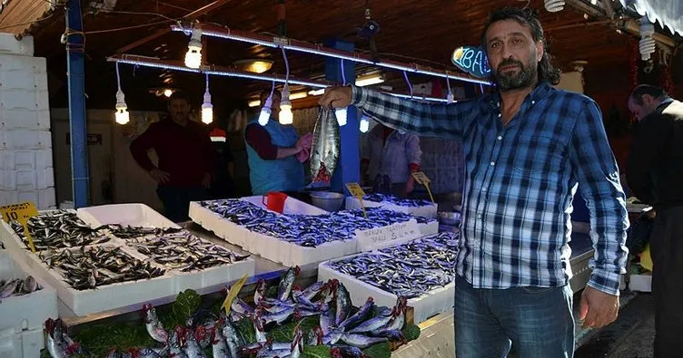 Trabzon’da bol hamsi ve palamut avı yüzleri güldürdü